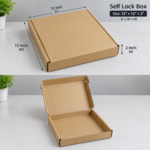 3Ply Die Cut Self Lock Carton Box/Parcel Box (12x12x2 inch)