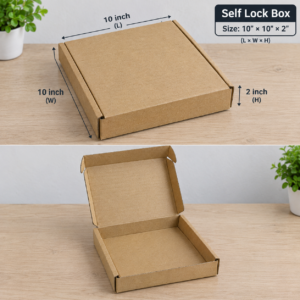 3Ply Die Cut Self Lock Carton Box/Parcel Box (10x10x2 inch)